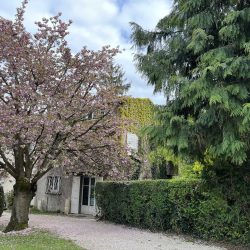 MAISON FAMILIALE 142M² MONTMORENCY CENTRE - JARDIN - PHL TRANSACTIONS Agence Immobilière - ACHAT - VENTE - ESTIMATION - Appartement à vendre, Montmorency, Enghien les Bains, https://www.phltransactions.com